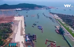 Hỗ trợ nửa tỉ đồng cho mỗi chuyến hàng vận tải qua cảng Nghi Sơn