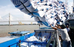 Đề xuất sửa đổi Nghị định 107/2018/NĐ-CP về kinh doanh xuất khẩu gạo