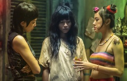 Xây dựng thế hệ “đả nữ” mới cho điện ảnh Việt