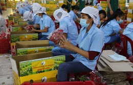 Thúc đẩy tăng trưởng xuất khẩu Việt Nam - Trung Quốc