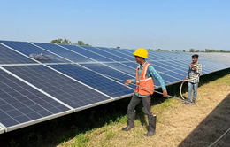Ấn Độ thúc đẩy năng lượng tái tạo