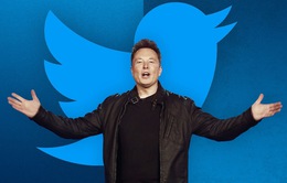 Elon Musk lại tung "quái chiêu" để người dùng trả phí cho Twitter