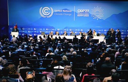Hội nghị COP27: Đoàn kết giải quyết những thách thức về biến đổi khí hậu