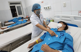 Đà Nẵng: Số ca mắc sốt xuất huyết 1 tuần cao gấp 5 lần trung bình 5 năm