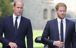 Hoàng tử Harry kể chi tiết nguyên nhân rạn nứt tình anh em với Hoàng tử William