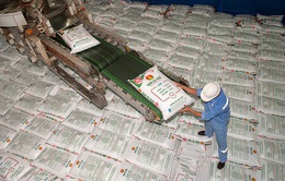 Xuất khẩu phân bón cán mốc hơn 1 tỷ USD