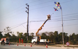 EVN Hà Nội cảnh báo tình trạng vi phạm hành lang lưới điện dịp cuối năm