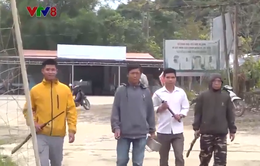 Người dân vùng cao Quảng Nam tự nguyện giao nộp vũ khí, vật liệu nổ