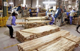 Ngành gỗ khó đạt mục tiêu xuất khẩu 16,5 tỷ USD
