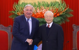 Việt - Pháp thúc đẩy đưa quan hệ đối tác chiến lược sang giai đoạn phát triển mới