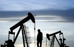Na Uy áp giá trần dầu thô của Nga