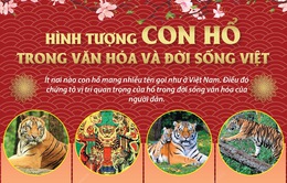 Hình tượng con hổ trong văn hóa và đời sống Việt