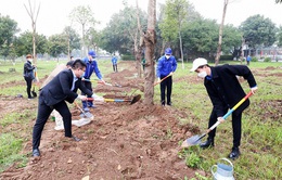 Thanh niên Thủ đô sẽ trồng mới 100.000 cây xanh trên địa bàn TP Hà Nội