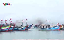 Ngư dân Thừa Thiên - Huế ra quân đánh bắt cá vụ nam năm 2022