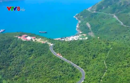 Phú Yên duyệt đề án khai thác du lịch xen kẽ trong rừng đặc dụng Đèo Cả