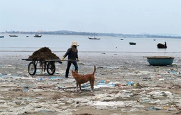 Bức bối mùa rác nhựa ở biển