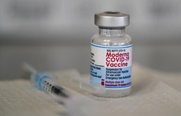 Moderna phát triển vaccine ngừa biến thể Omicron
