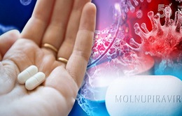 Chính thức cấp phép 3 loại thuốc chứa Molnupiravir sản xuất trong nước