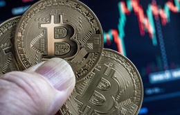 Bitcoin có thể mất tất cả giá trị trước cuối năm nay