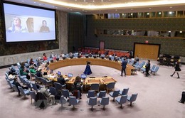 Hội đồng Bảo an Liên hợp quốc họp khẩn về Ukraine