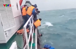 Kịp thời cứu 9 ngư dân Lý Sơn bị chìm tàu giữa biển