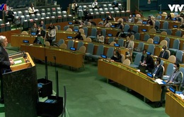Đại hội đồng Liên hợp quốc họp về tình hình tại Ukraine