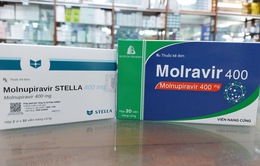 Sử dụng đúng cách thuốc Molnupiravir để hiệu quả và an toàn