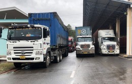 Các cửa khẩu tại Cao Bằng tạm dừng hoạt động xuất nhập khẩu