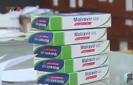 Khuyến cáo sử dụng thuốc Molnupiravir an toàn