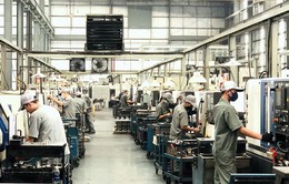 Kinh tế TP Hồ Chí Minh vào giai đoạn “lấy lại những gì đã mất”