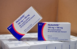 Pfizer đồng ý cung cấp thuốc điều trị COVID-19 cho châu Phi