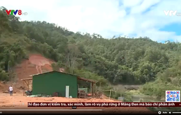 Lâm Đồng đề nghị điều tra hình sự vụ phá rừng Trường Sơn Đông