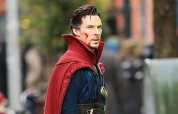 Benedict Cumberbatch nhận sao trên Đại lộ danh vọng Hollywood