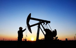 Giá dầu tiếp tục leo thang