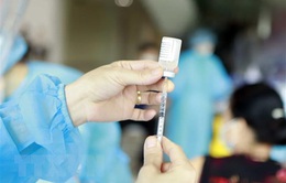 Phó Thủ tướng Vũ Đức Đam yêu cầu làm rõ các loại vaccine tiêm cho trẻ từ 5-11 tuổi