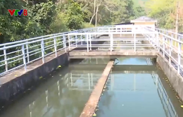 Bình Định: Hệ thống nước sạch miền núi xuống cấp