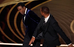 Cái tát của Will Smith tại Oscar 2022: Bạo lực thiếu suy nghĩ hay cảm xúc chân thật?