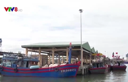 Đề xuất chi hơn 151 tỷ đồng làm tuyến luồng vào khu bến cảng Thọ Quang, Đà Nẵng