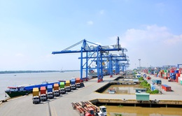 7 hiệp hội kiến nghị giãn, giảm phí cảng biển tại TP Hồ Chí Minh