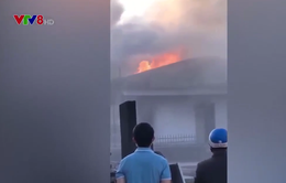 Cháy lớn tại công ty cao su Chư Prông, tỉnh Gia Lai