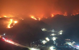 Hàn Quốc: Cháy rừng đe dọa nhà máy điện hạt nhân, hàng nghìn người phải sơ tán