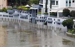 Sydney hứng chịu mưa xối xả, số người tử vong do lũ lụt ở Australia tăng lên 20