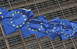EU xem xét đơn gia nhập của Ukraine, Gruzia và Moldova