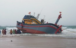 Làng biển Phú Yên nỗ lực khắc phục hậu quả thiên tai