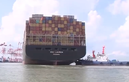 Huy động vốn đầu tư phát triển đội tàu container