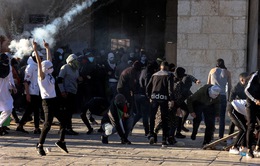 Người Palestine đụng độ với cảnh sát Israel tại thánh địa Jerusalem, hơn 150 người bị thương