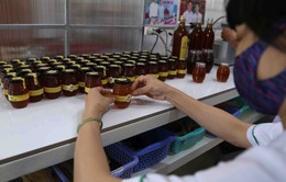 Mỹ giảm mạnh thuế chống bán phá giá mật ong Việt: Người nuôi ong và doanh nghiệp “thở phào”?