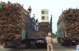 Thừa Thiên-Huế xử lý tình trạng xe chở quá khổ, quá tải