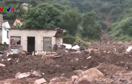 Nam Phi ban bố tình trạng thảm họa trên toàn quốc do lũ lụt