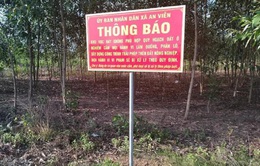 Đồng Nai: Thanh tra, xử lý sai phạm trong lĩnh vực đất đai, xây dựng tại huyện Trảng Bom